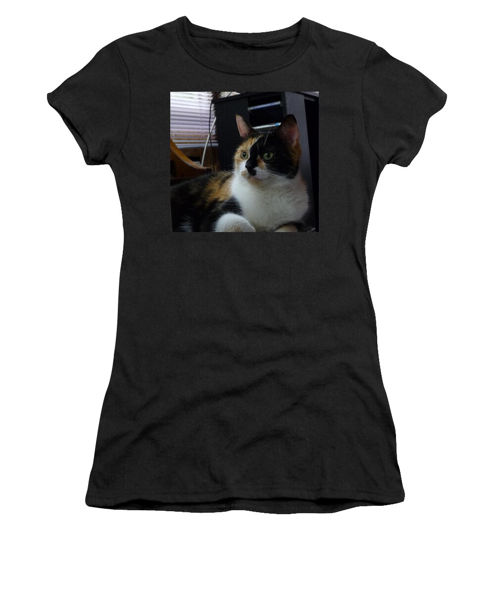 Cat Photography Women's T-Shirt featuring the photograph PhanTOM Calico by Lingfai Leung