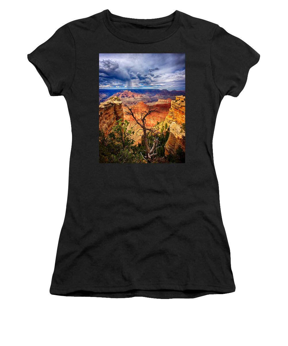 Grand Canyon Women's T-Shirt featuring the photograph Reaching Up by Beth Sargent
