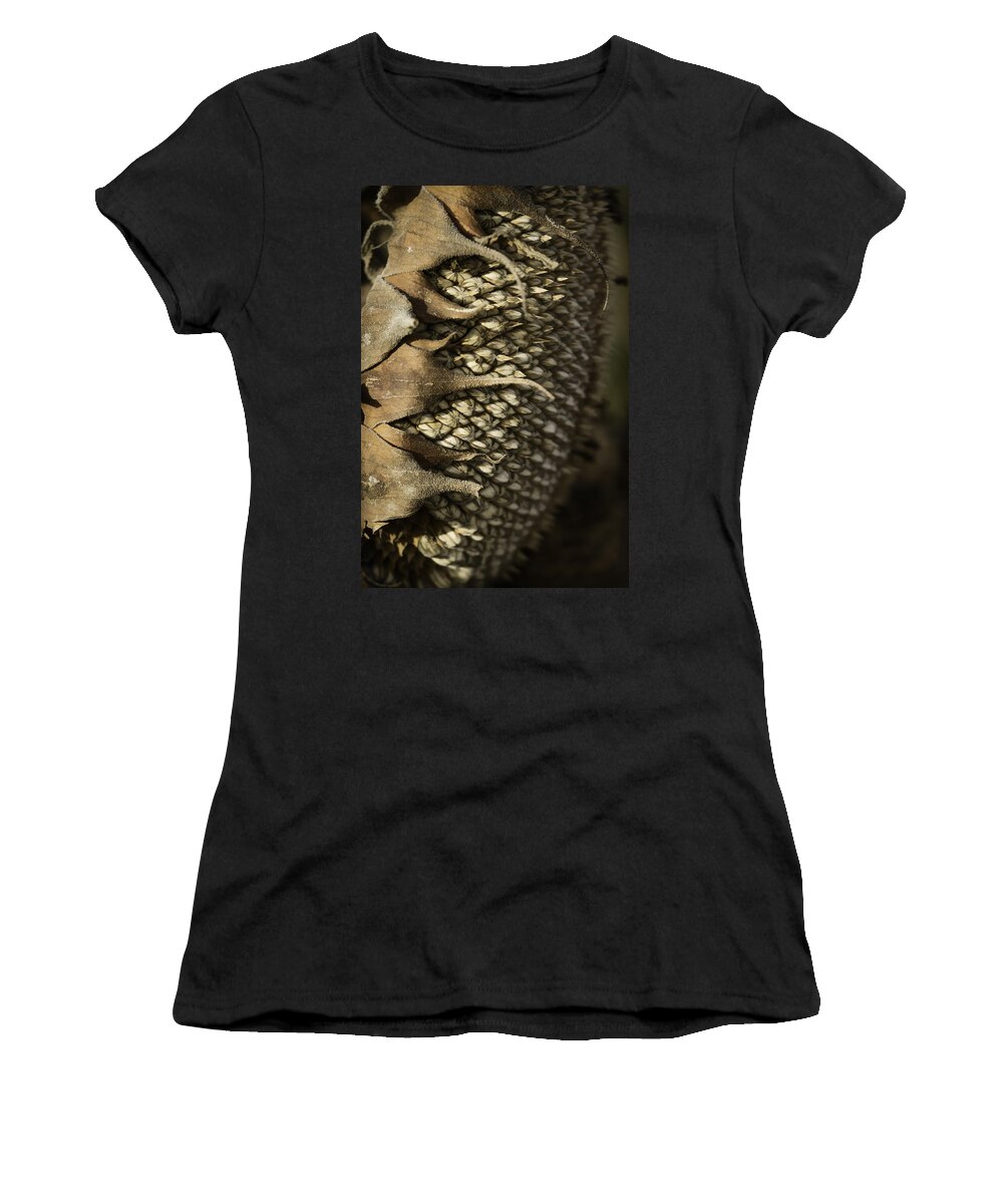 Sunflower Head Women's T-Shirt featuring the photograph Ready For Winter by Thomas Young