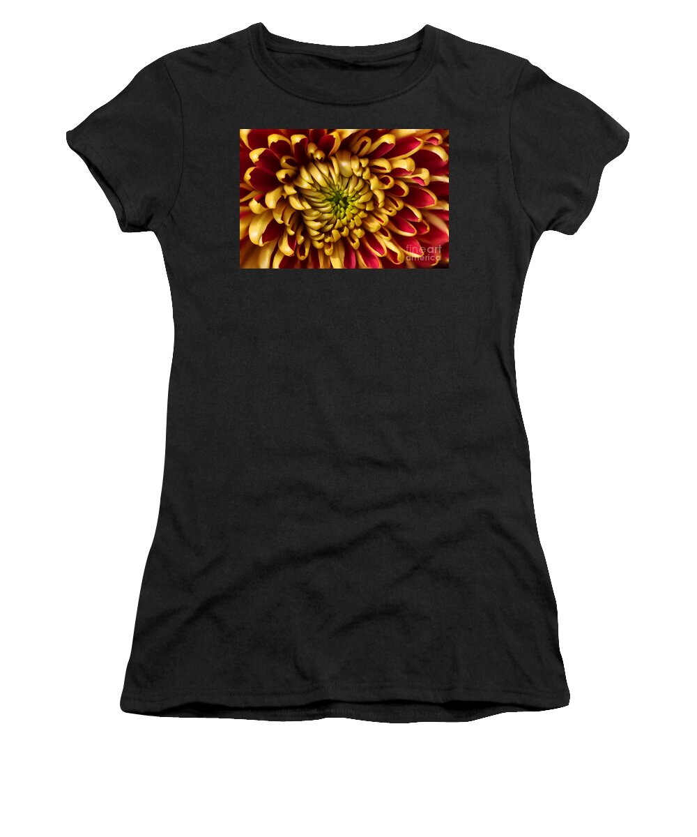 Chrysanthemum Women's T-Shirt featuring the photograph Red Chrysanthemum by Matt Malloy