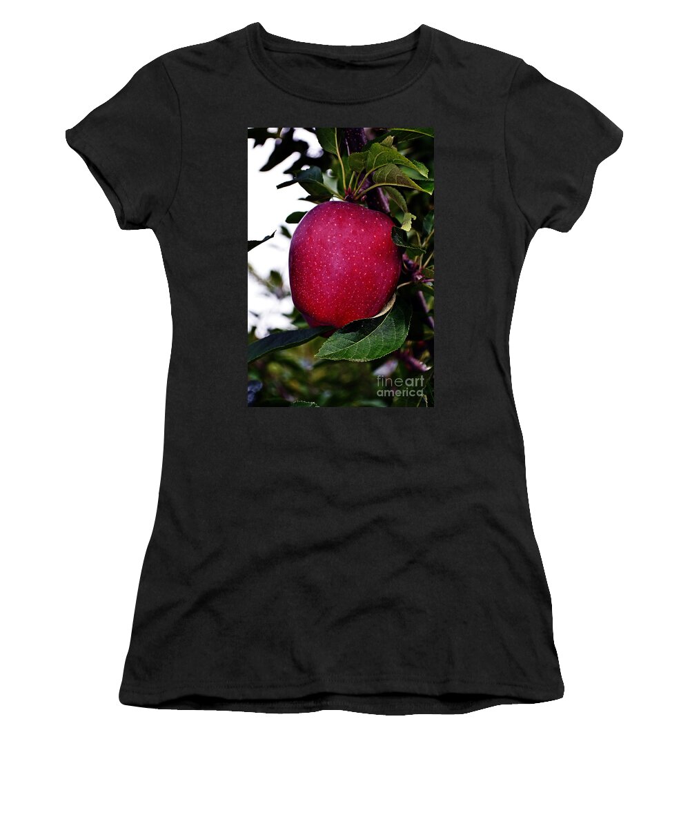 Apple Women's T-Shirt featuring the photograph Red Delicious by Kevin Fortier