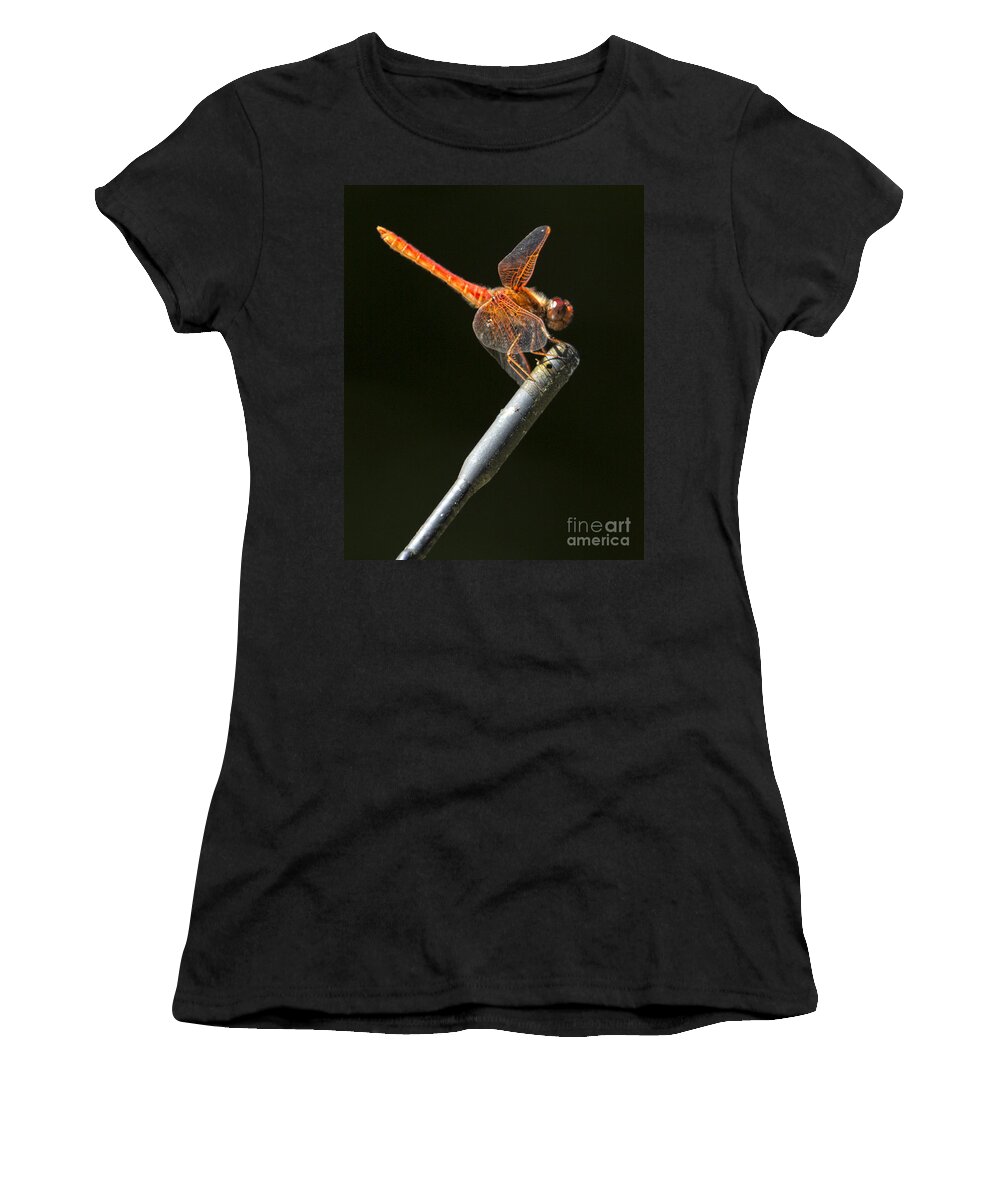 Red Dragonfly Women's T-Shirt featuring the photograph Red Dragonfly on an Antenna by Belinda Greb