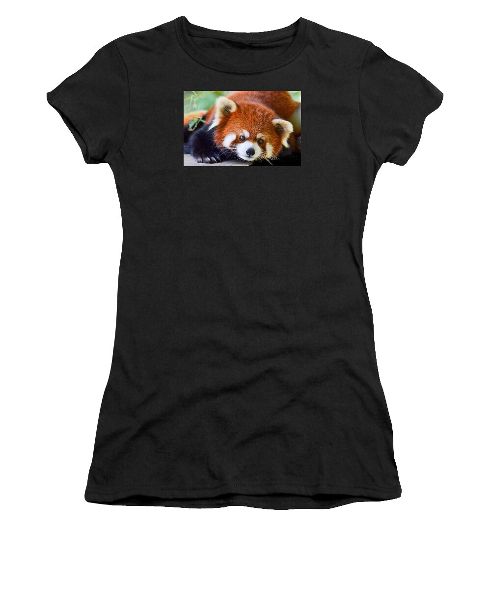 Red Panda Bear Women's T-Shirt featuring the photograph Red Panda by Michael Hubley