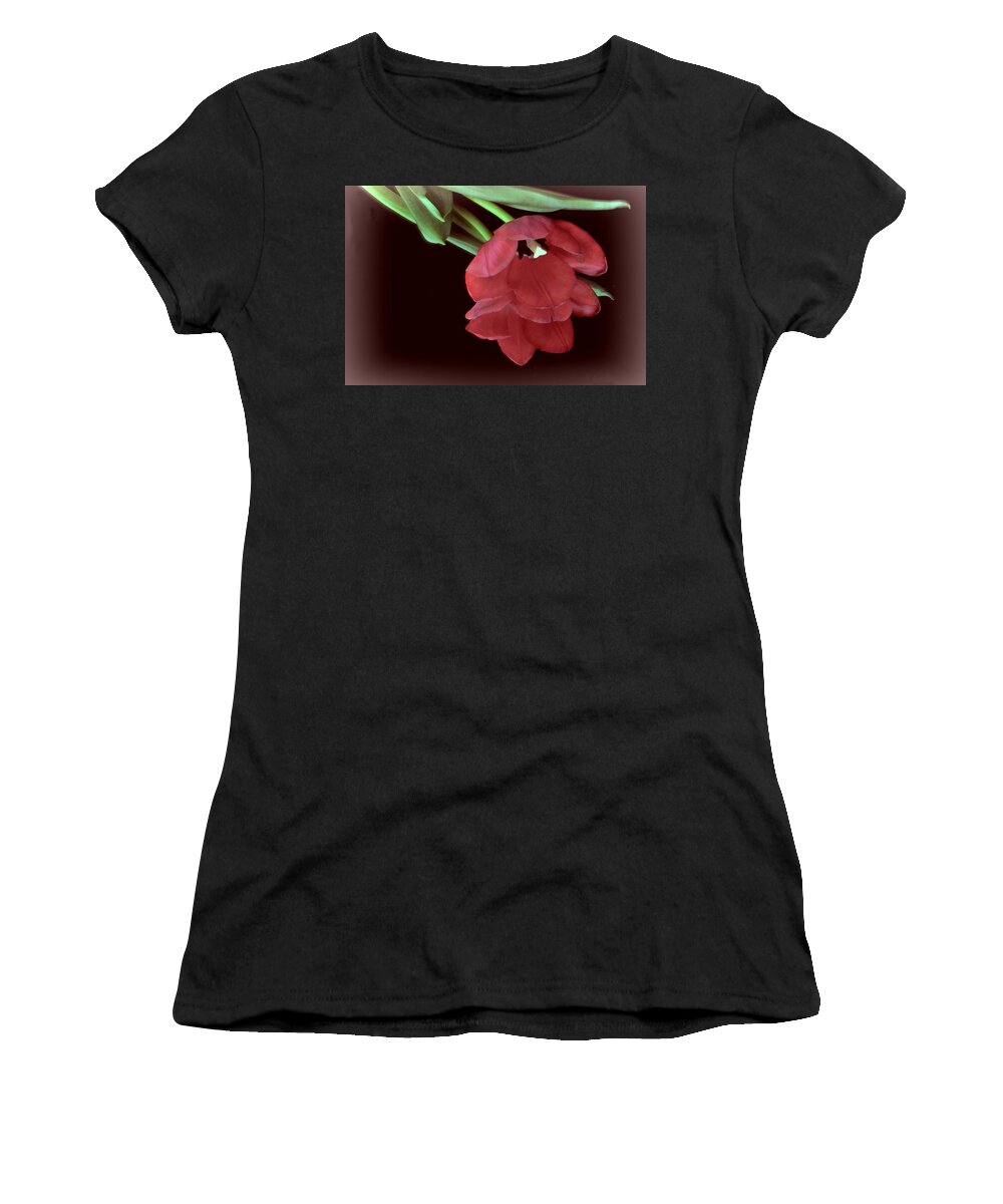 Flower Women's T-Shirt featuring the photograph Red Tulip on Burgundy by Phyllis Meinke
