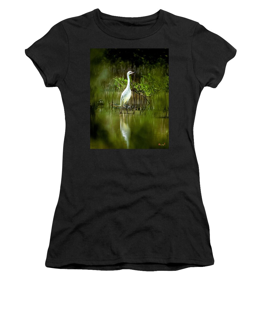 Nature Women's T-Shirt featuring the photograph Reddish Egret 9C by Gerry Gantt