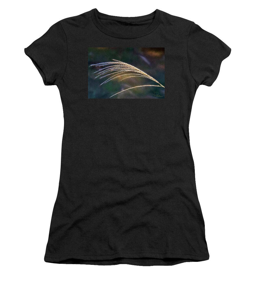 Grass Women's T-Shirt featuring the photograph Reed Grass by Ludwig Keck