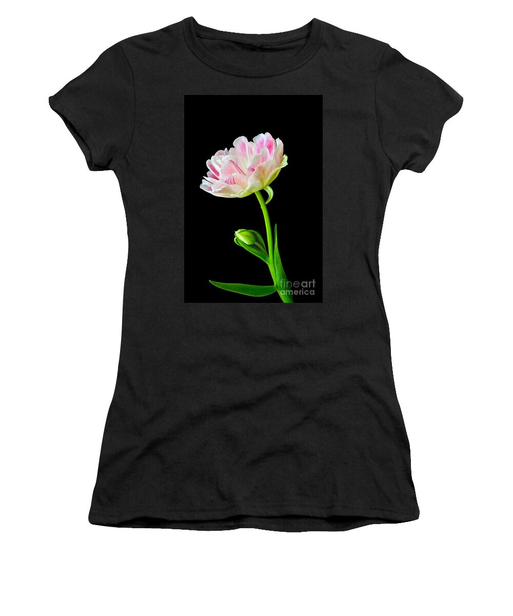 Peony Tulip Women's T-Shirt featuring the photograph Refreshing Single Double Tulip by Byron Varvarigos