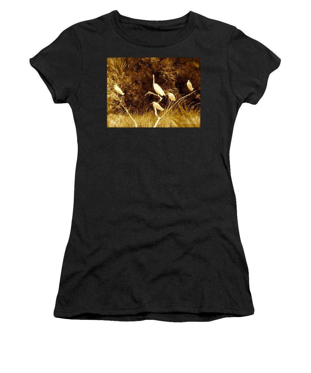 Egrets Women's T-Shirt featuring the photograph Resting Flock Sepia by Anita Lewis