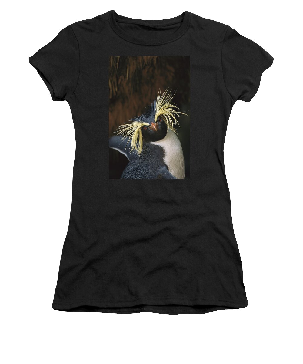 Feb0514 Women's T-Shirt featuring the photograph Rockhopper Penguin Portrait Gough Island by Tui De Roy