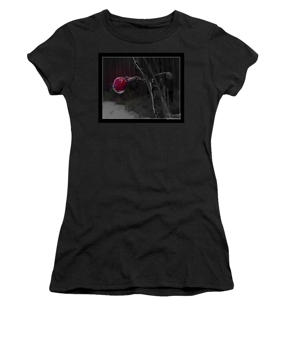 Nature Women's T-Shirt featuring the photograph Rose Hip and Raindrop by Leone Lund