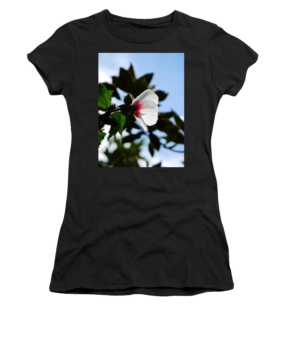 Flower Women's T-Shirt featuring the photograph Rose of Sharon at Dusk by Jean Goodwin Brooks