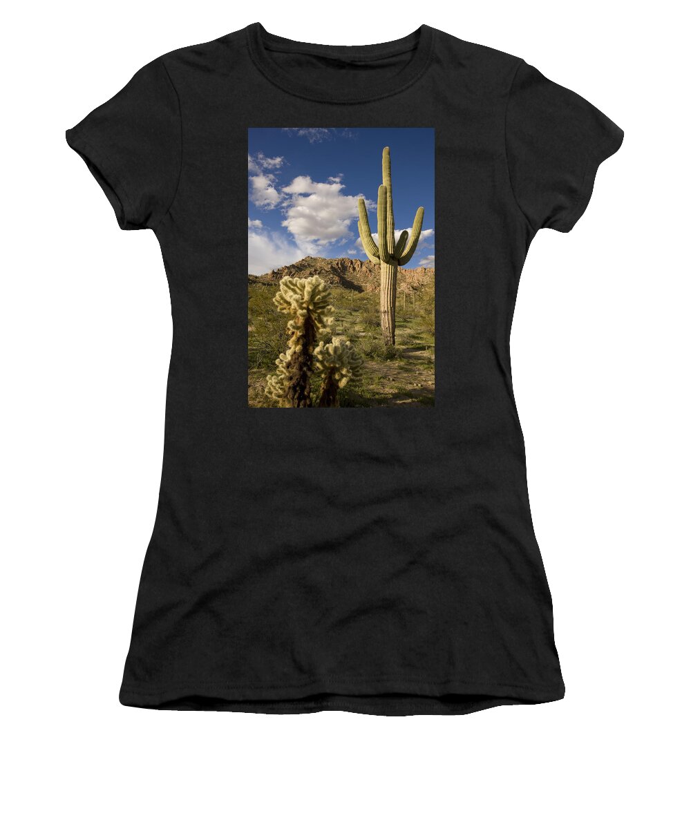 Feb0514 Women's T-Shirt featuring the photograph Saguaro Cactus In Desert Arizona by Tom Vezo