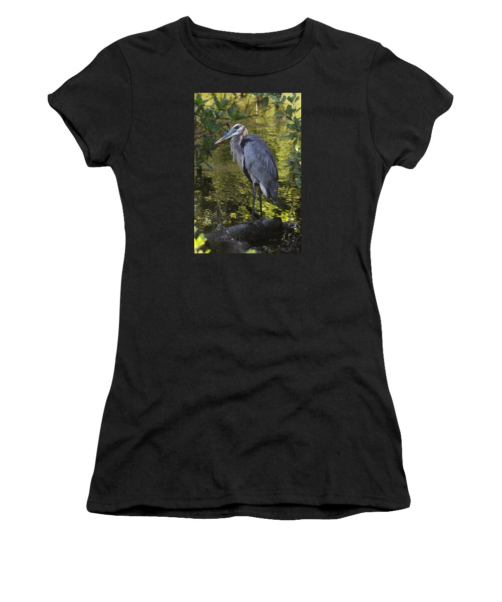 Great Blue Heron Women's T-Shirt featuring the photograph Sanibel Great Blue Heron by Christiane Schulze Art And Photography
