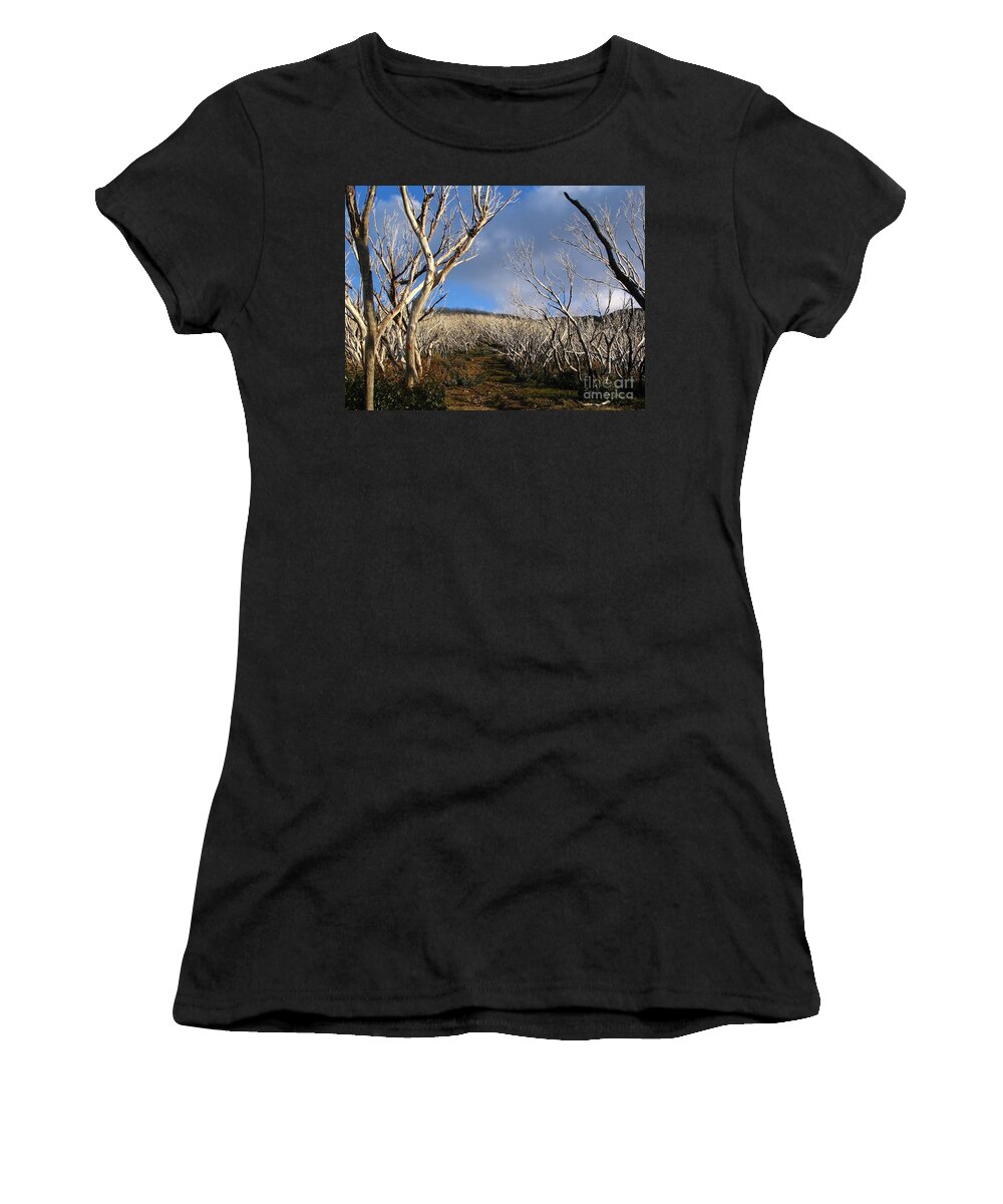 Aged Women's T-Shirt featuring the photograph Scary Trees by THP Creative