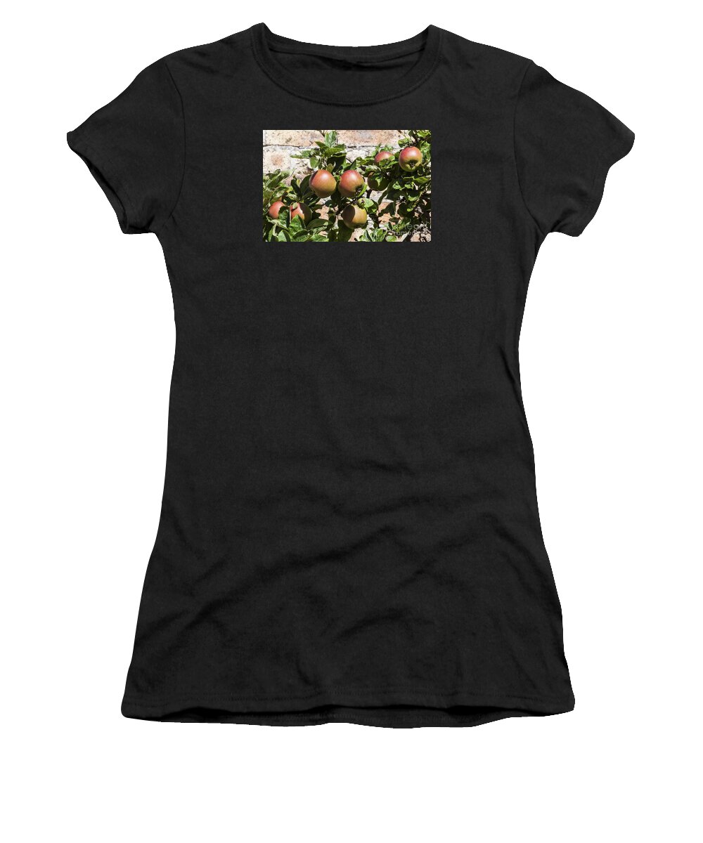 Scottish Thorle Pippins Women's T-Shirt featuring the photograph Scottish Thorle Pippin Apples by Diane Macdonald