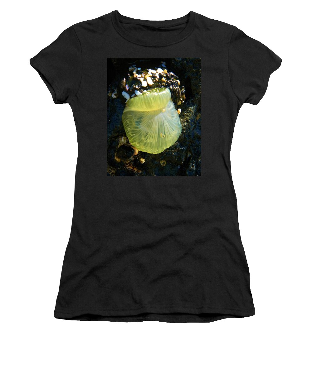 Ocean Life Women's T-Shirt featuring the photograph Sea Anemone with Beautiful Jelly by Gallery Of Hope 