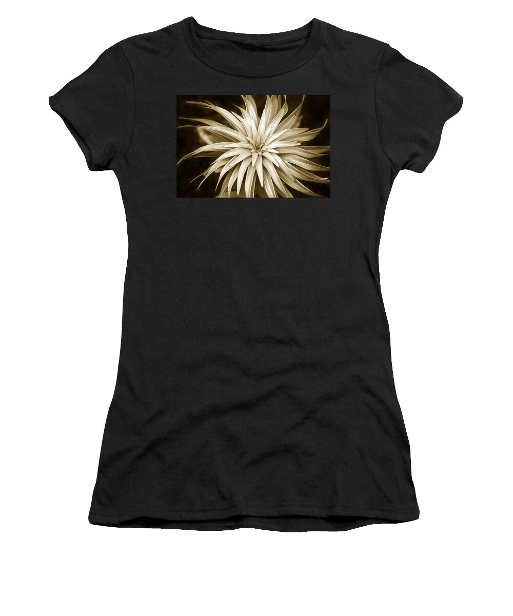 Leaves Women's T-Shirt featuring the photograph Sepia Plant Spiral by Christina Rollo