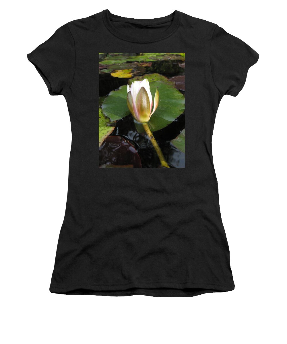 Nature Women's T-Shirt featuring the photograph Serenity by Noa Mohlabane