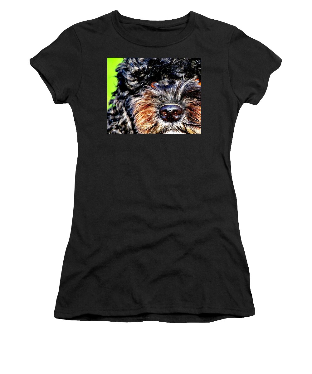 Dog Women's T-Shirt featuring the photograph Shaggy Black Dog by Marysue Ryan