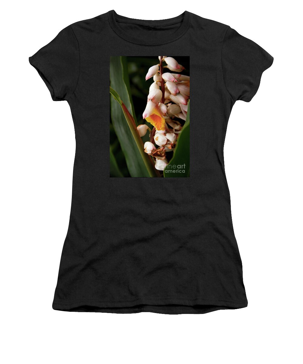Flowers Women's T-Shirt featuring the photograph Shell Ginger by Kathy McClure