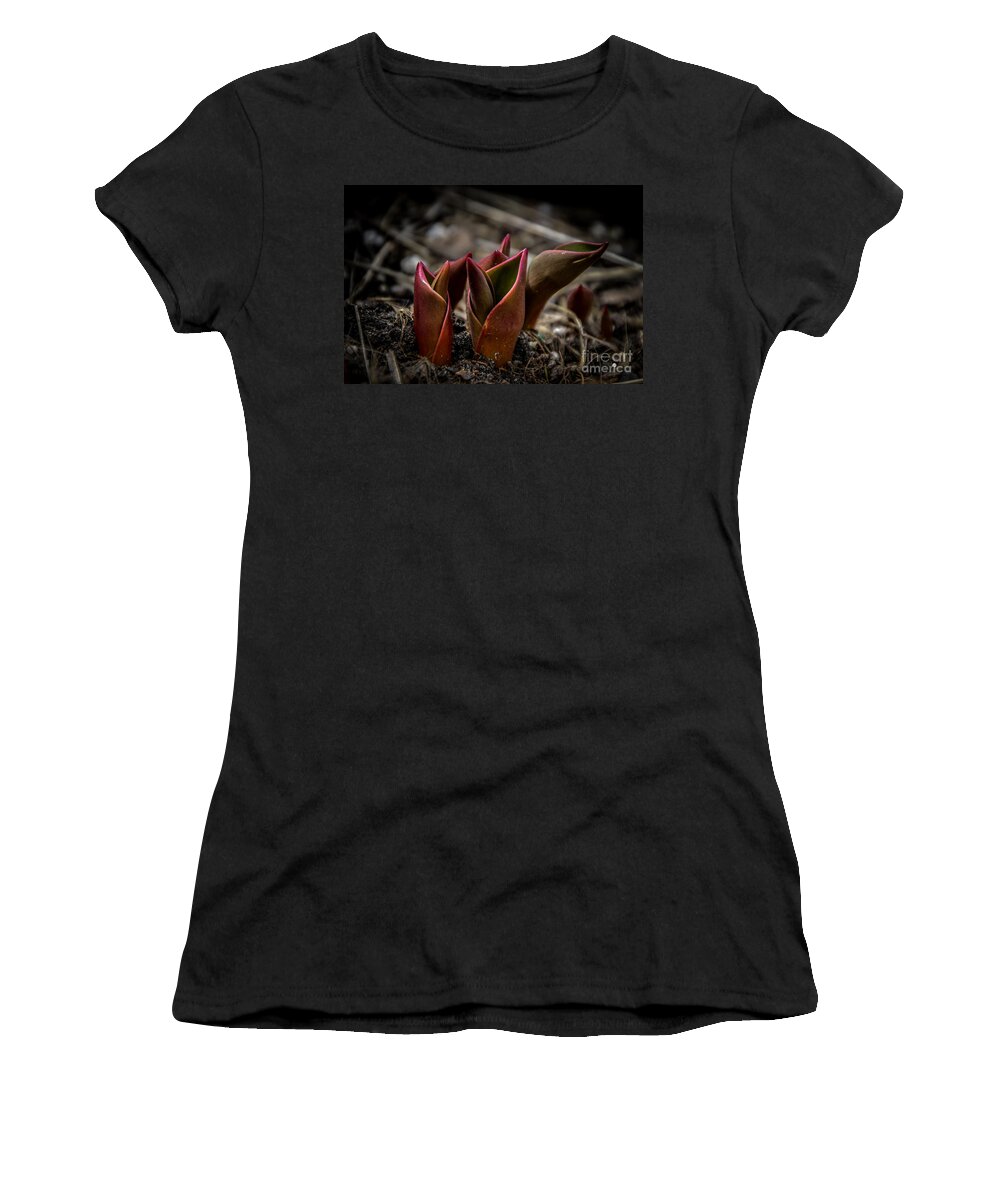 Green Women's T-Shirt featuring the photograph Sign of Spring in Red by Ronald Grogan
