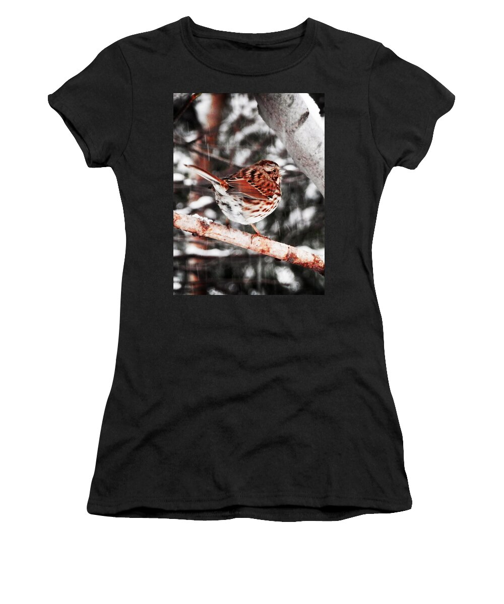 Song Sparrow Women's T-Shirt featuring the photograph Singing In The Snowfall by Zinvolle Art