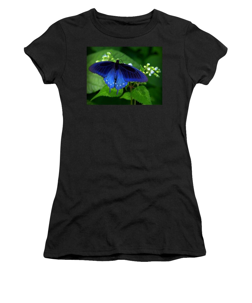 Pipevine Swallowtail Women's T-Shirt featuring the photograph SINGING the BLUES by Karen Wiles