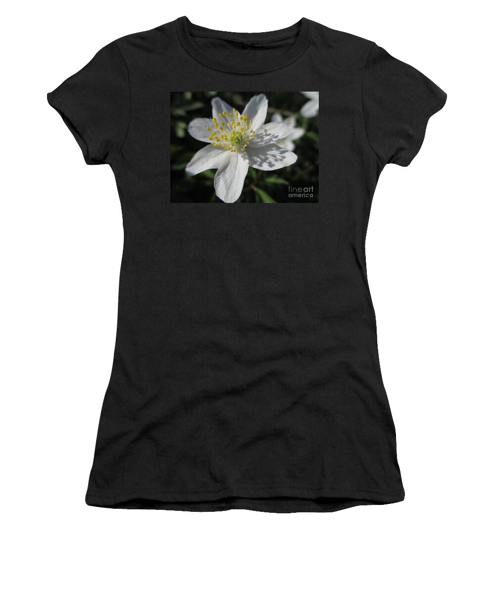 White Wood Anemones Women's T-Shirt featuring the photograph Single White Wood Anemone by Martin Howard