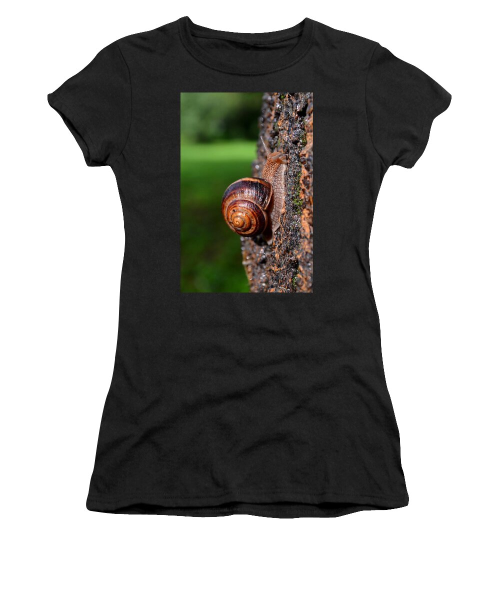 Snail Women's T-Shirt featuring the photograph Slowly and Surely by Rumiana Nikolova