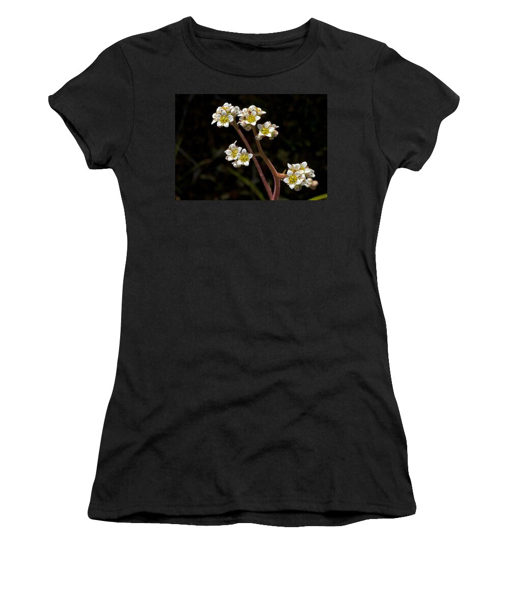 Small Women's T-Shirt featuring the photograph Small White Flowers by Betty Depee