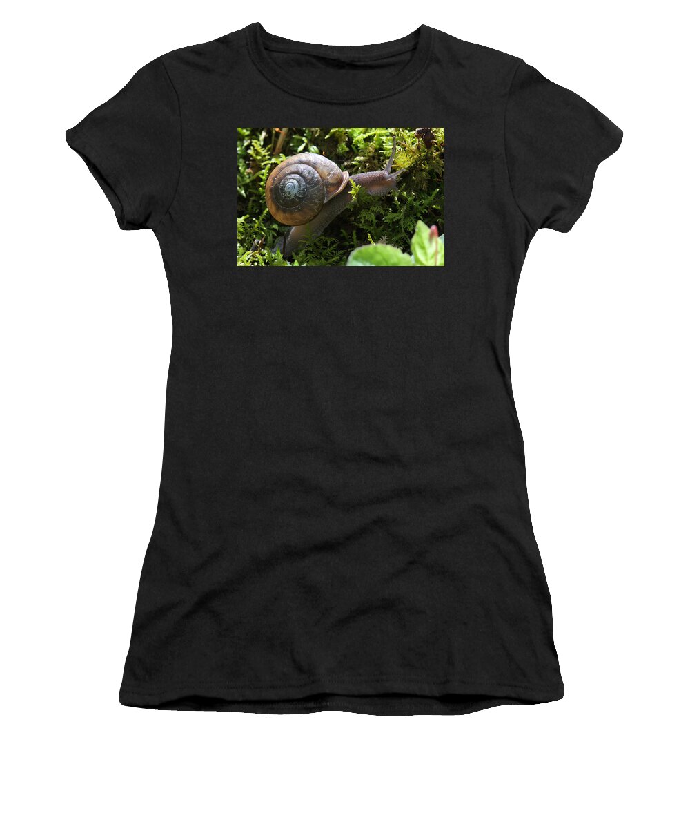 Snail In Moss Women's T-Shirt featuring the photograph Snail In Moss by Daniel Reed