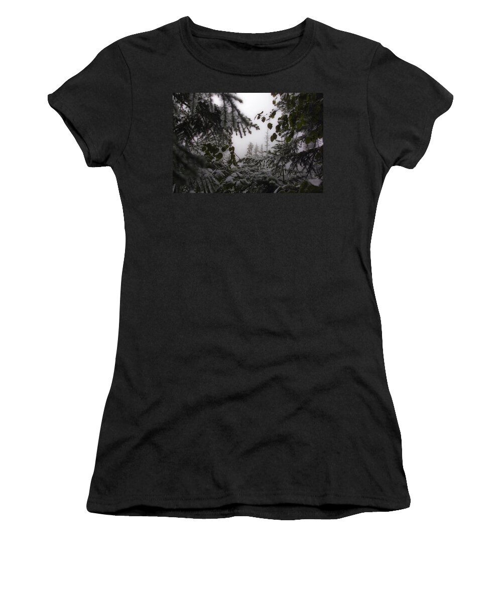 Narada Falls Women's T-Shirt featuring the photograph Snow in Trees at Narada Falls by Greg Reed
