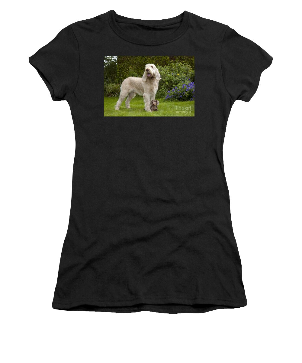 Dog Women's T-Shirt featuring the photograph Spinone With Mini Dachshund by John Daniels