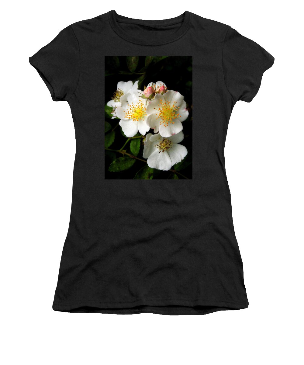 Macro Women's T-Shirt featuring the photograph Spring Wild Roses - card by Pete Trenholm