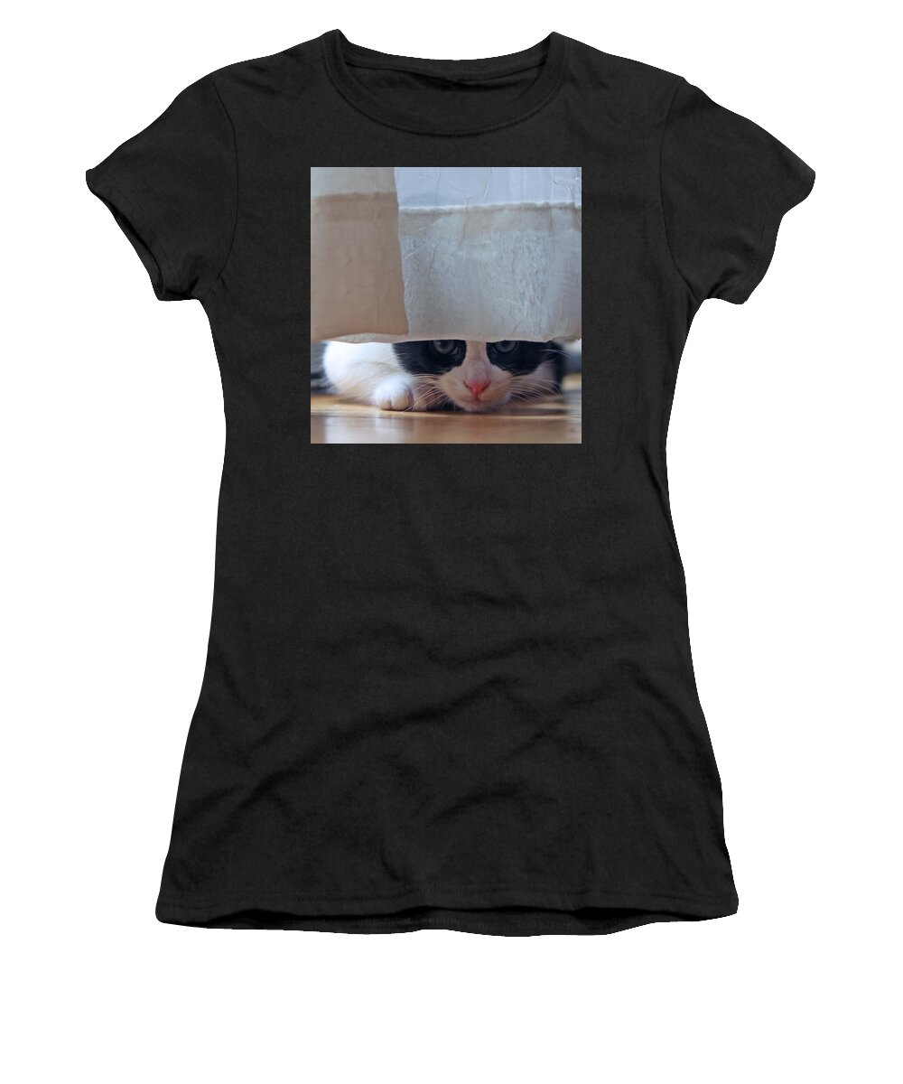 Kitten Women's T-Shirt featuring the photograph Stalking Me by Shoal Hollingsworth