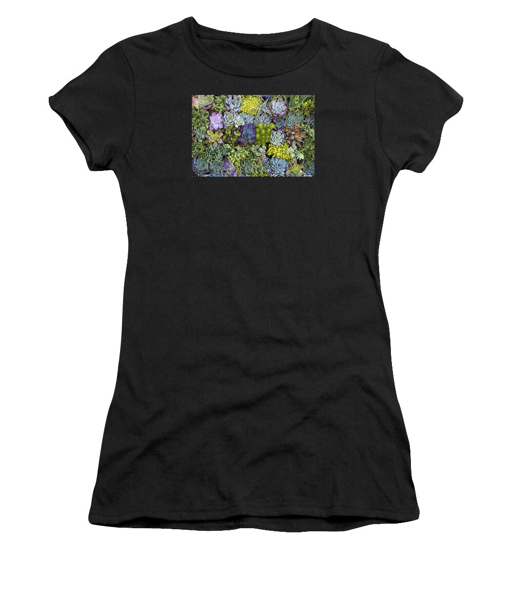 Succulent Women's T-Shirt featuring the photograph Succulent Wall by Andre Aleksis