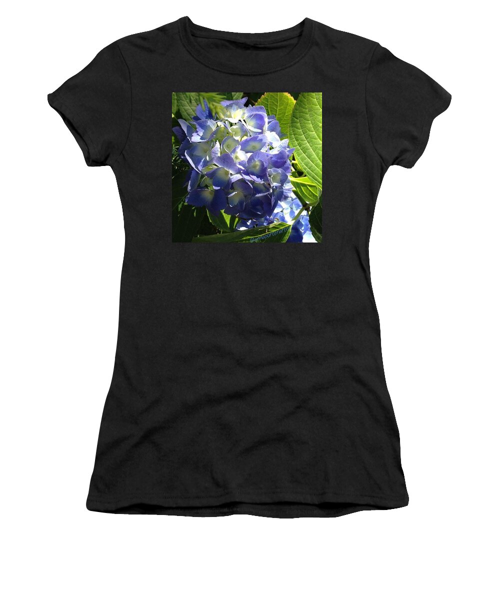 Iphone5 Women's T-Shirt featuring the photograph Summer Blues - Blue Hydrangea by Anna Porter
