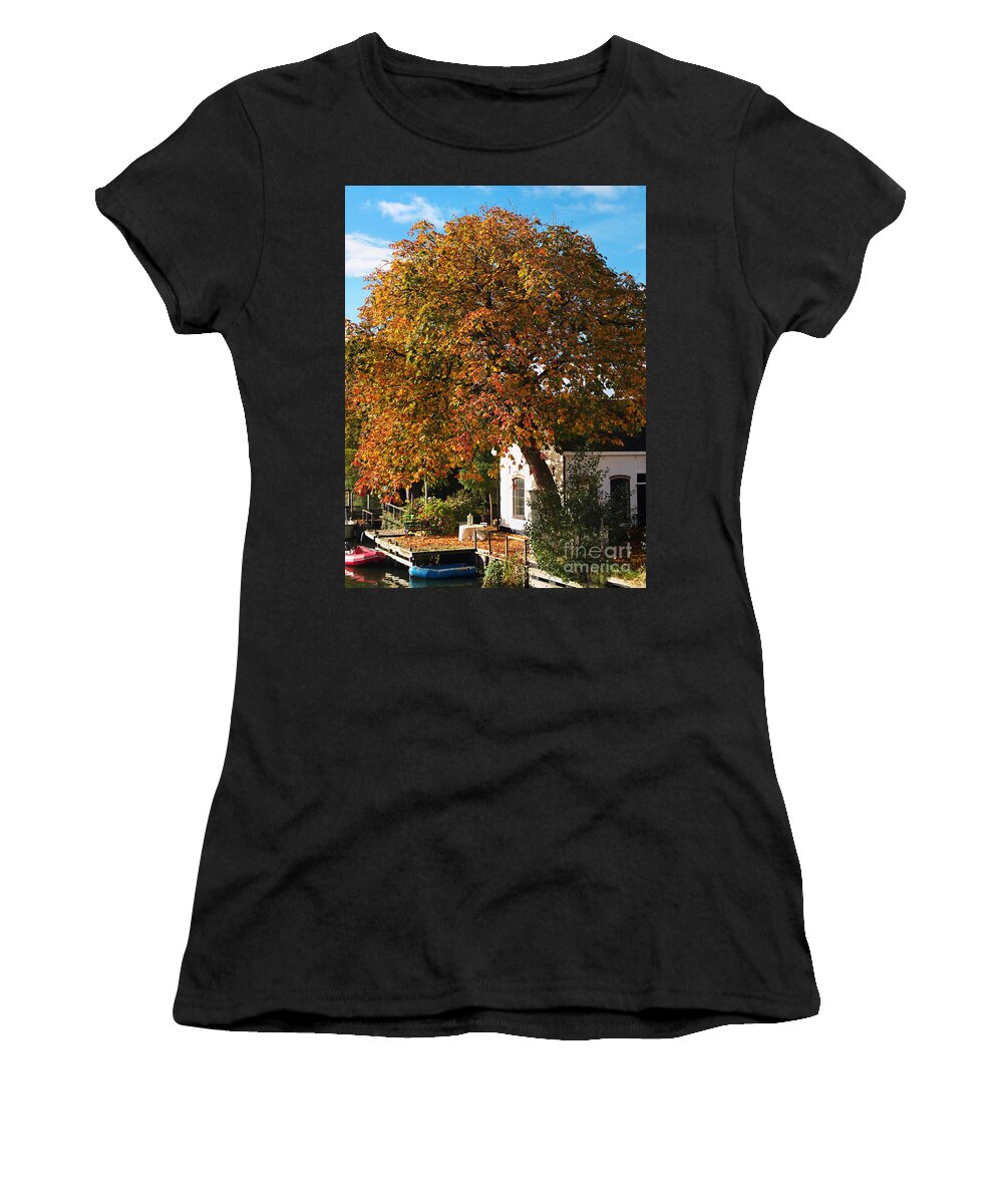 Tree In Autumn Women's T-Shirt featuring the photograph Sun leaves by Luc Van de Steeg