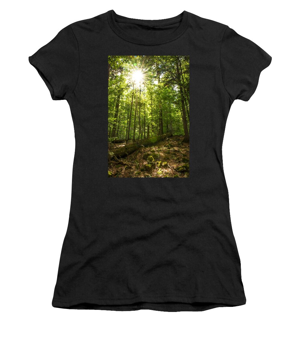Forest Women's T-Shirt featuring the photograph Sunlit Primeval Forest by Andreas Berthold