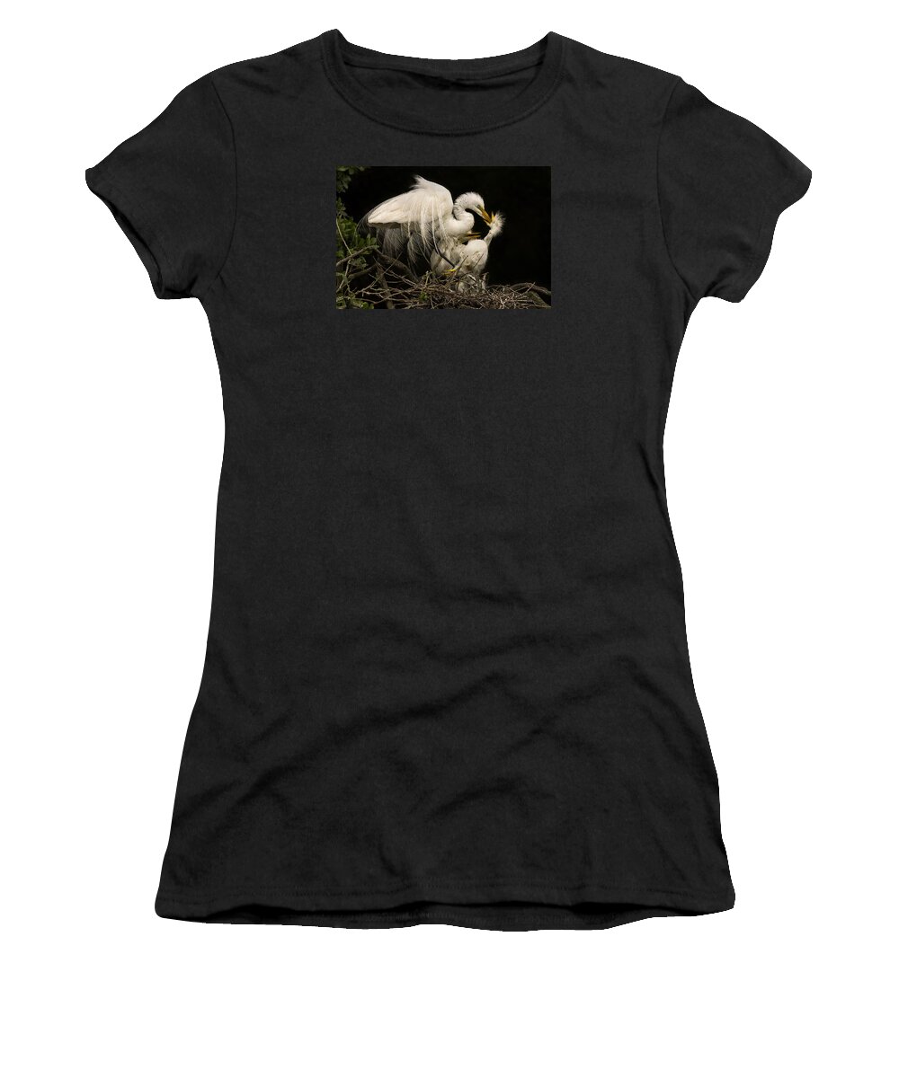 Great Egret Women's T-Shirt featuring the photograph Suppertime by Priscilla Burgers