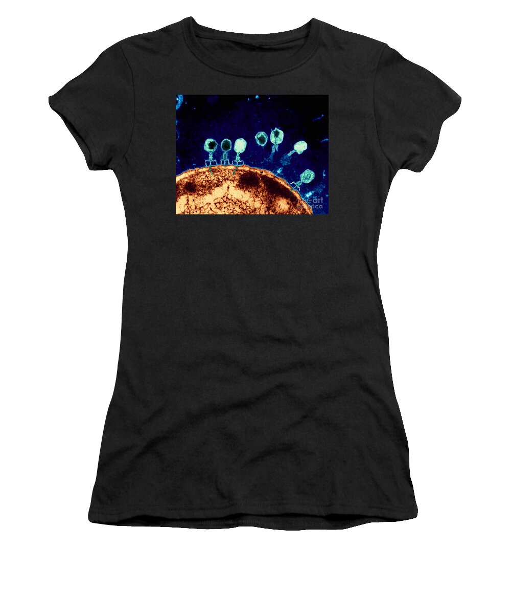 Bacteriophage Women's T-Shirt featuring the photograph T-bacteriophages and e-coli by Eye Of Science