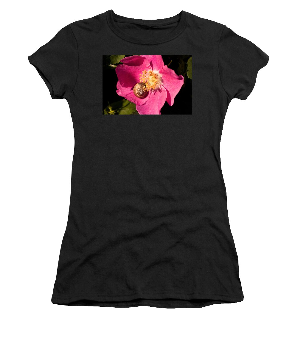Snails Women's T-Shirt featuring the photograph Take Time to Smell the Flowers by Peggy Collins