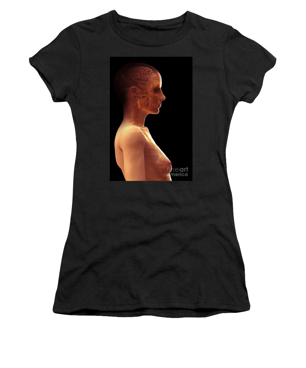 Cerebral Cortex Women's T-Shirt featuring the photograph The Brain Female by Science Picture Co