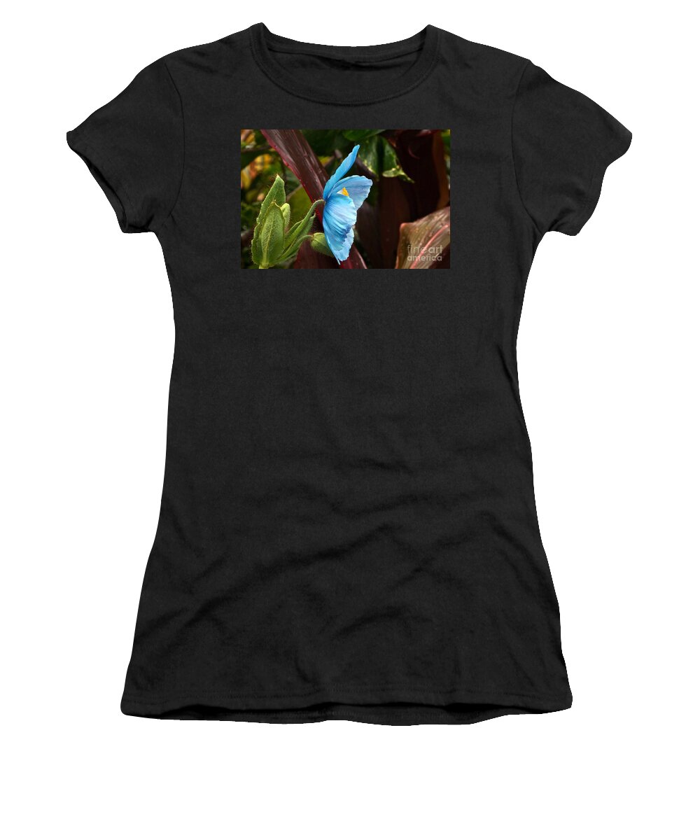 Meconopsis Women's T-Shirt featuring the photograph The Colors Of The Himalayan Blue Poppy by Byron Varvarigos