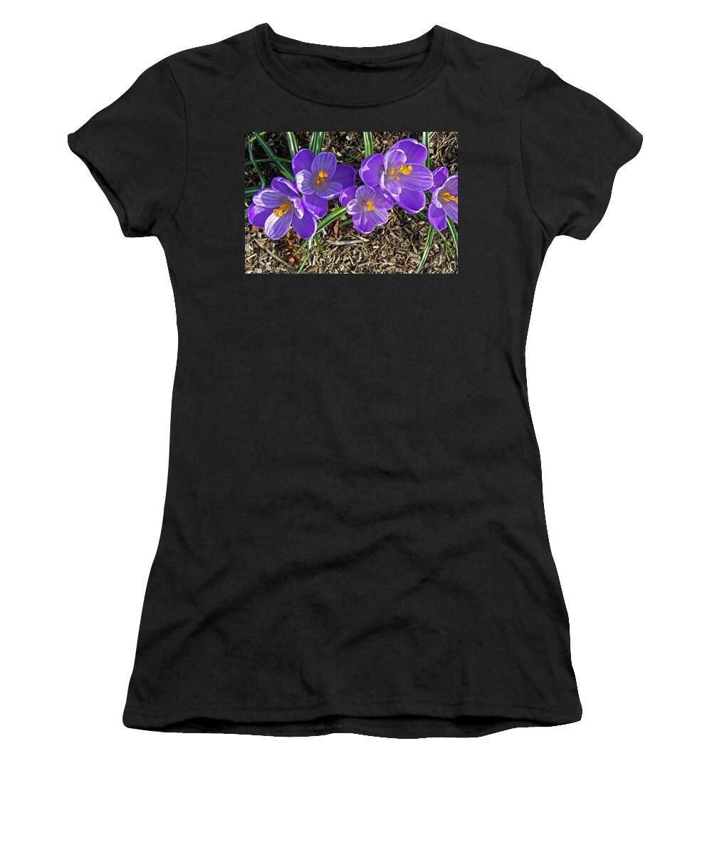 Crocus Women's T-Shirt featuring the photograph The Crocus Groove by Tikvah's Hope