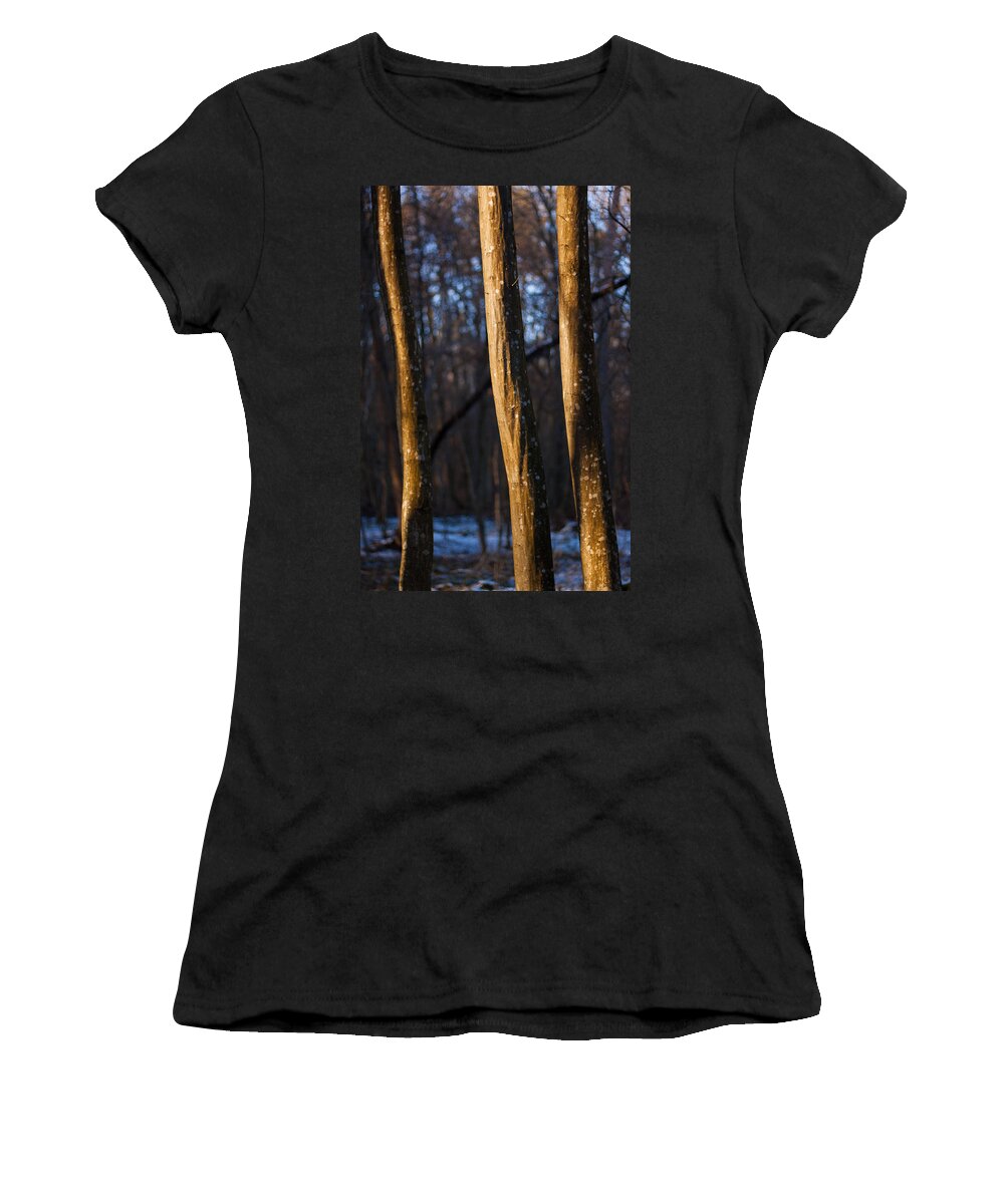 Forest Women's T-Shirt featuring the photograph The Three Graces by Davorin Mance