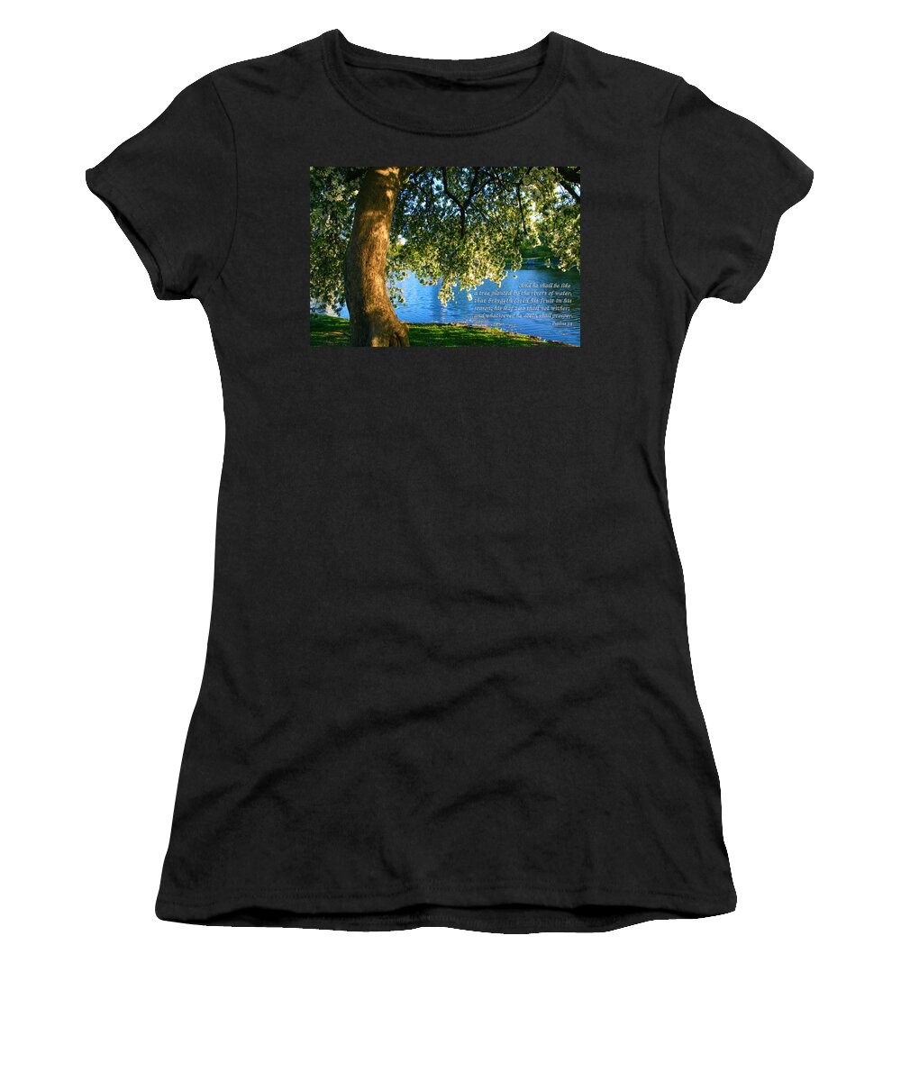Christian Women's T-Shirt featuring the photograph The Tree GOD Spoke Of... by Terry Wallace