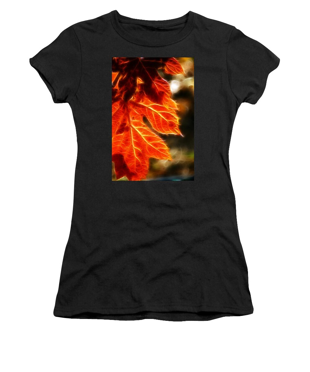 Fall Women's T-Shirt featuring the photograph The Warmth of Fall by Lisa Stanley