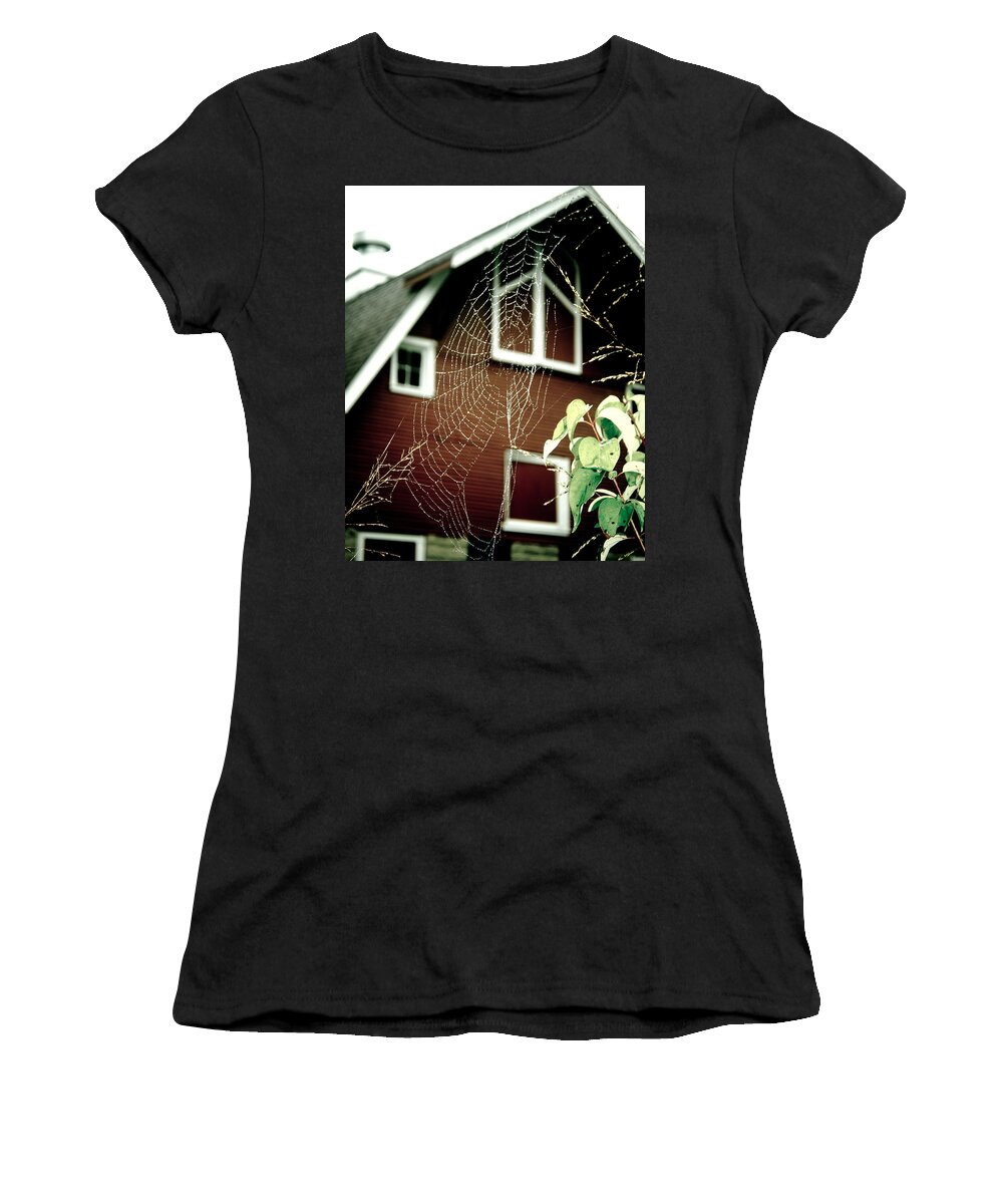 Spiderweb Women's T-Shirt featuring the photograph The Web by Kristy Creighton