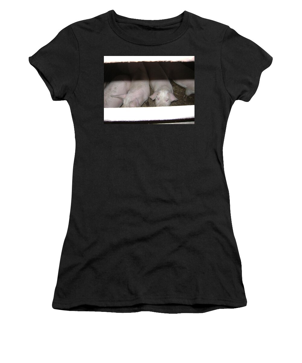 Pigs Women's T-Shirt featuring the photograph These Eyes by Moshe Harboun